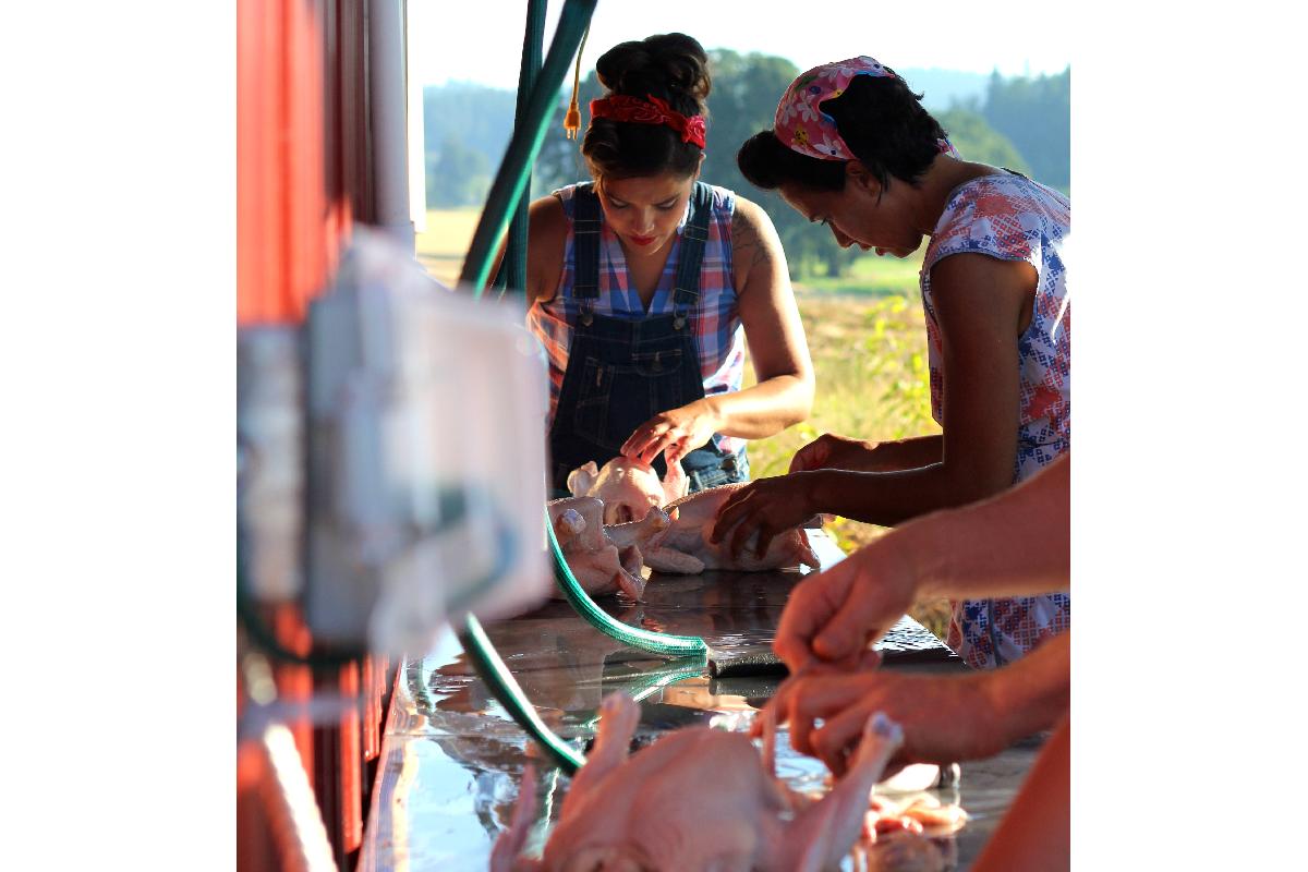 Helvetia Farm Market & Marion Acres LLC TriCounty Farms