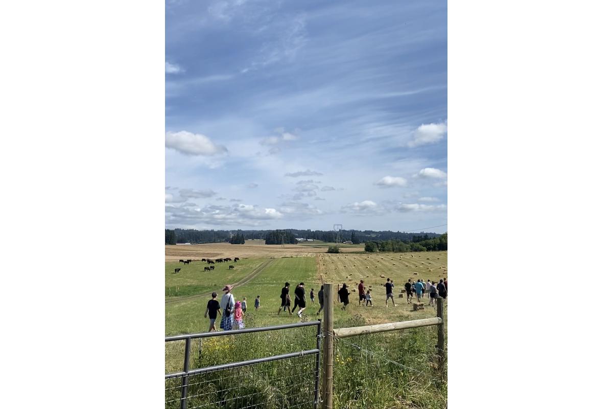 Helvetia Farm Market & Marion Acres LLC TriCounty Farms